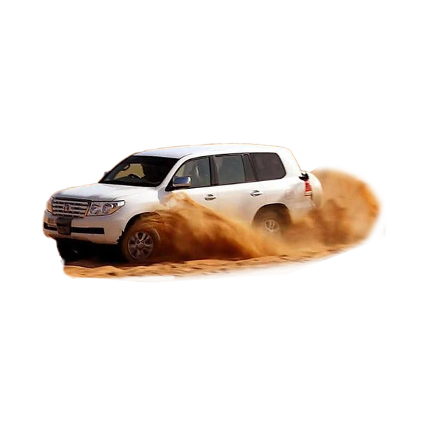 Desert Safari